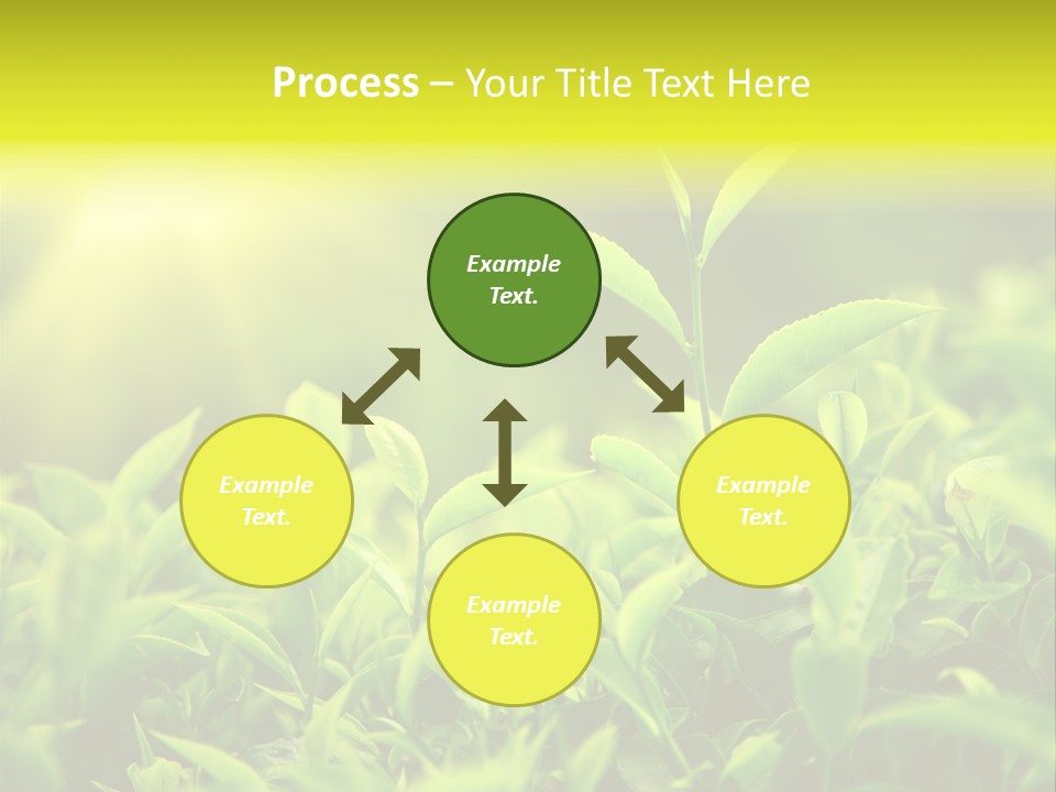 Kerala South Munnar PowerPoint Template