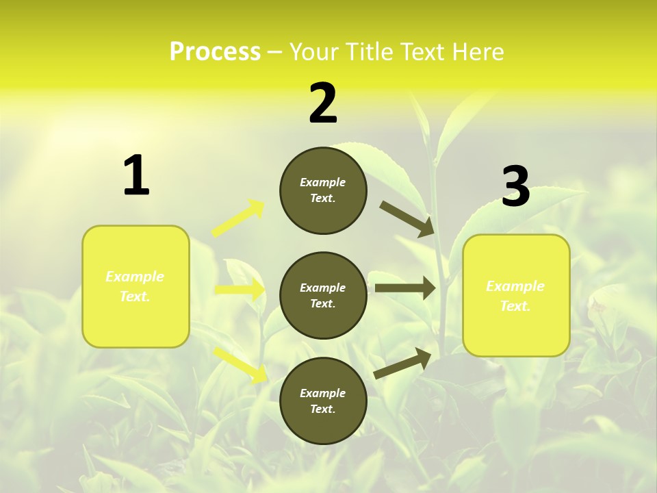 Kerala South Munnar PowerPoint Template