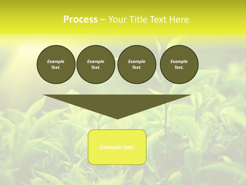 Kerala South Munnar PowerPoint Template