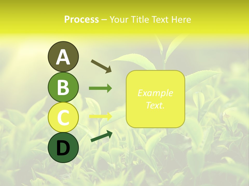 Kerala South Munnar PowerPoint Template