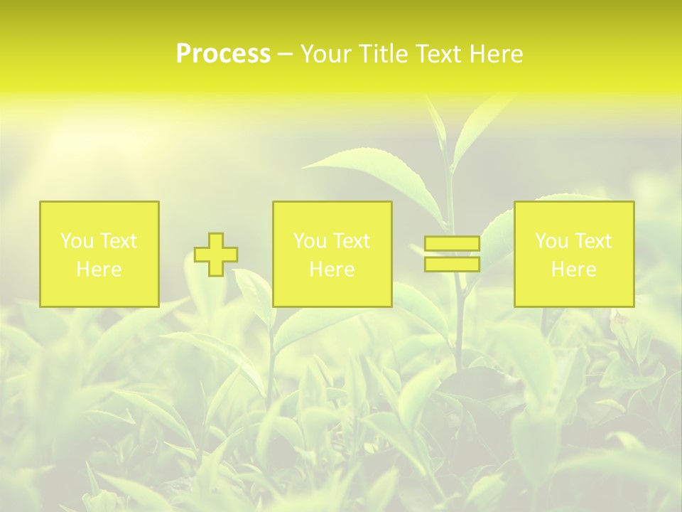 Kerala South Munnar PowerPoint Template