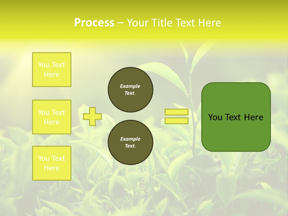 Kerala South Munnar PowerPoint Template