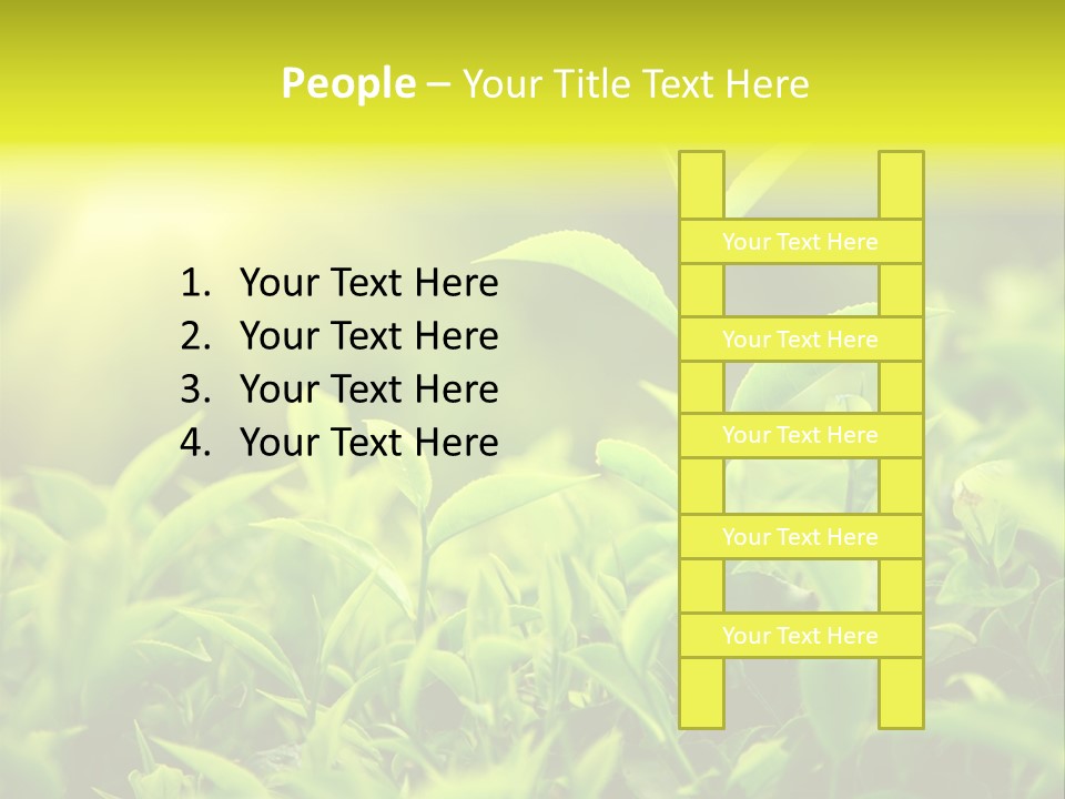 Kerala South Munnar PowerPoint Template