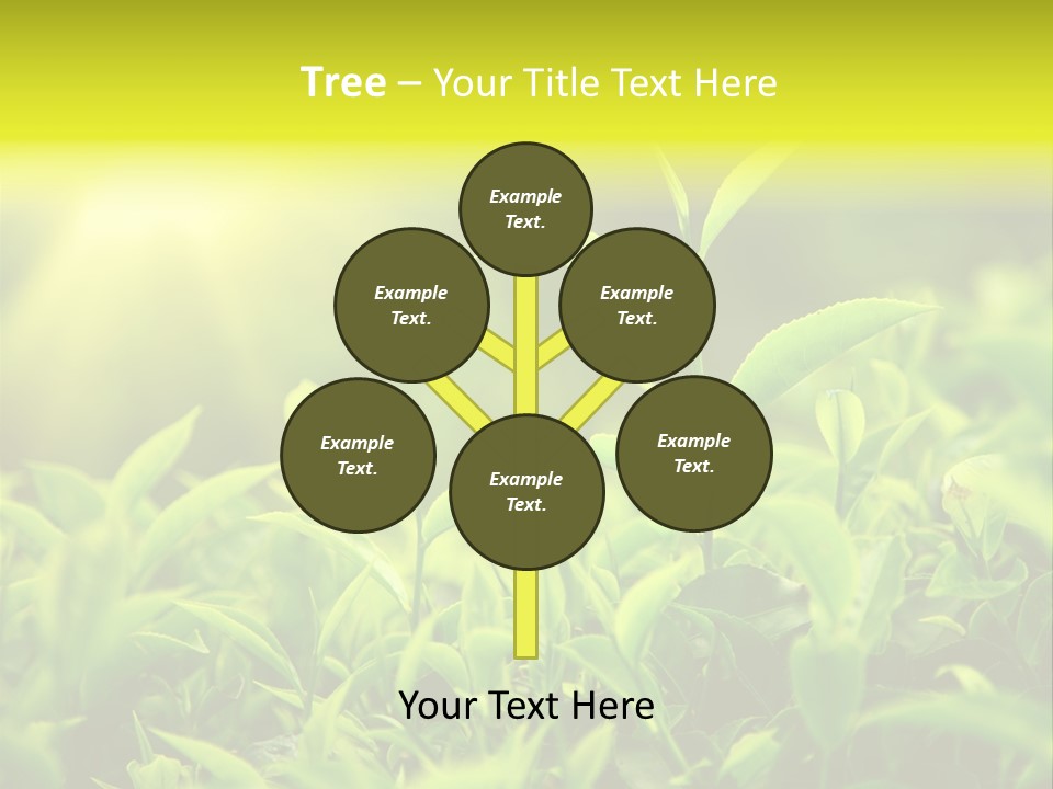 Kerala South Munnar PowerPoint Template