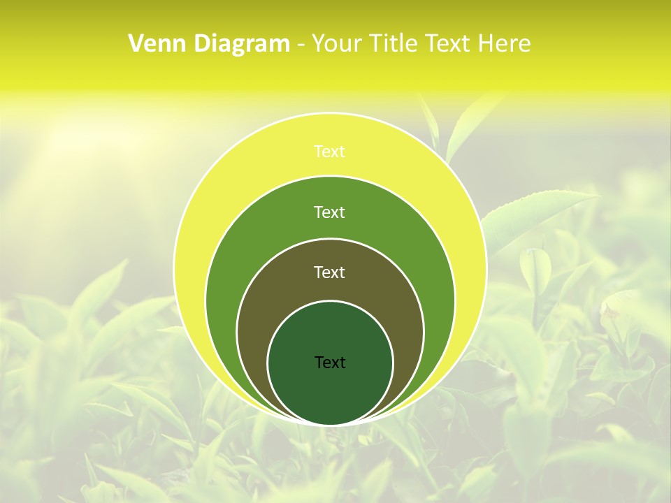 Kerala South Munnar PowerPoint Template