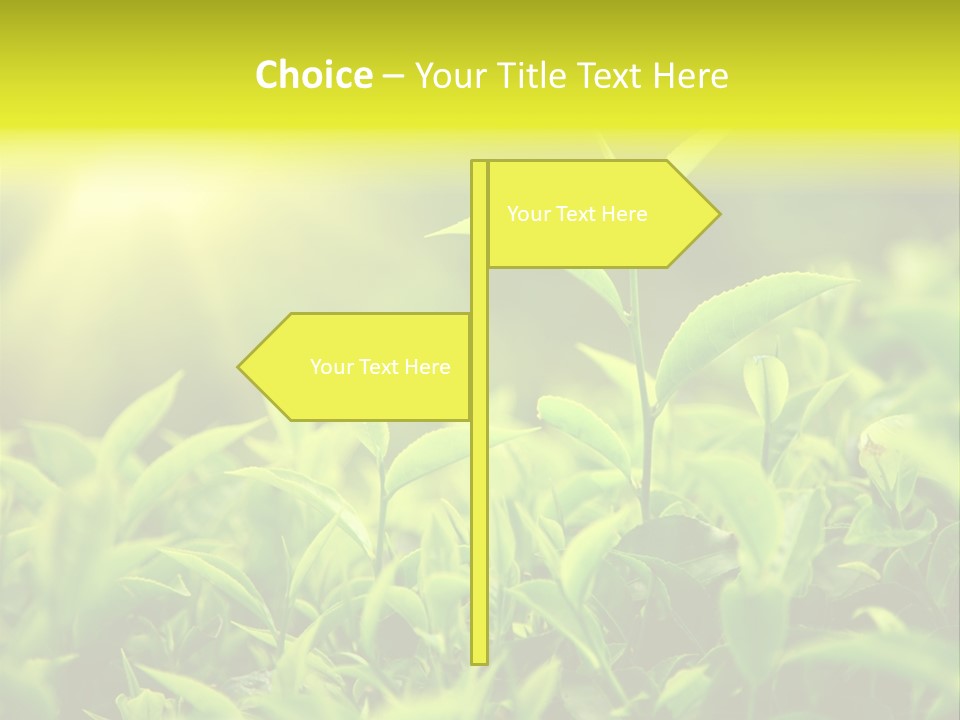Kerala South Munnar PowerPoint Template