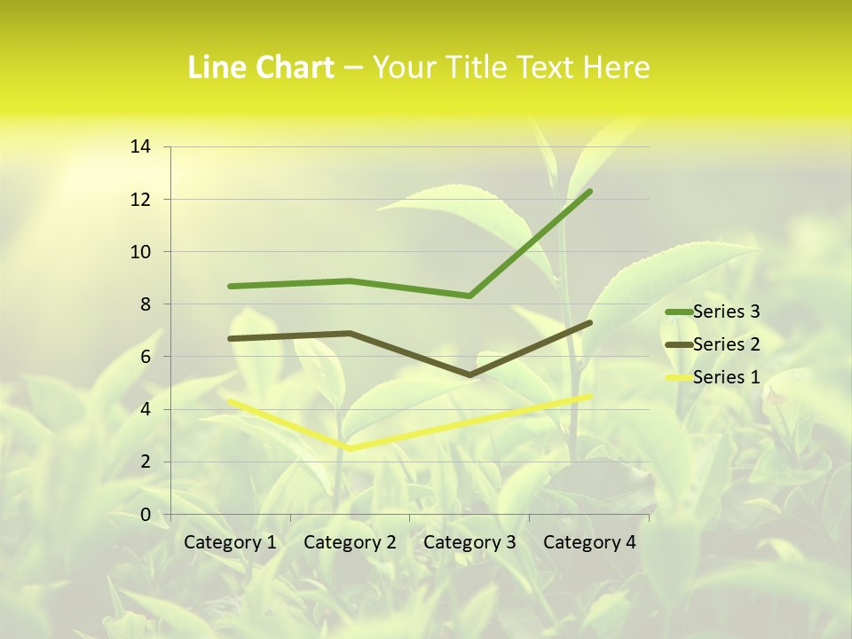Kerala South Munnar PowerPoint Template