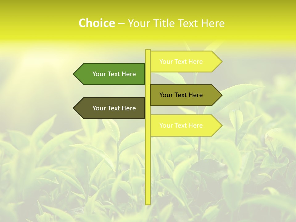 Kerala South Munnar PowerPoint Template