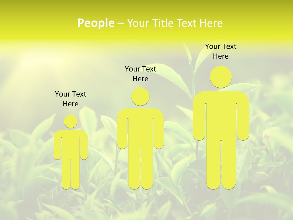 Kerala South Munnar PowerPoint Template