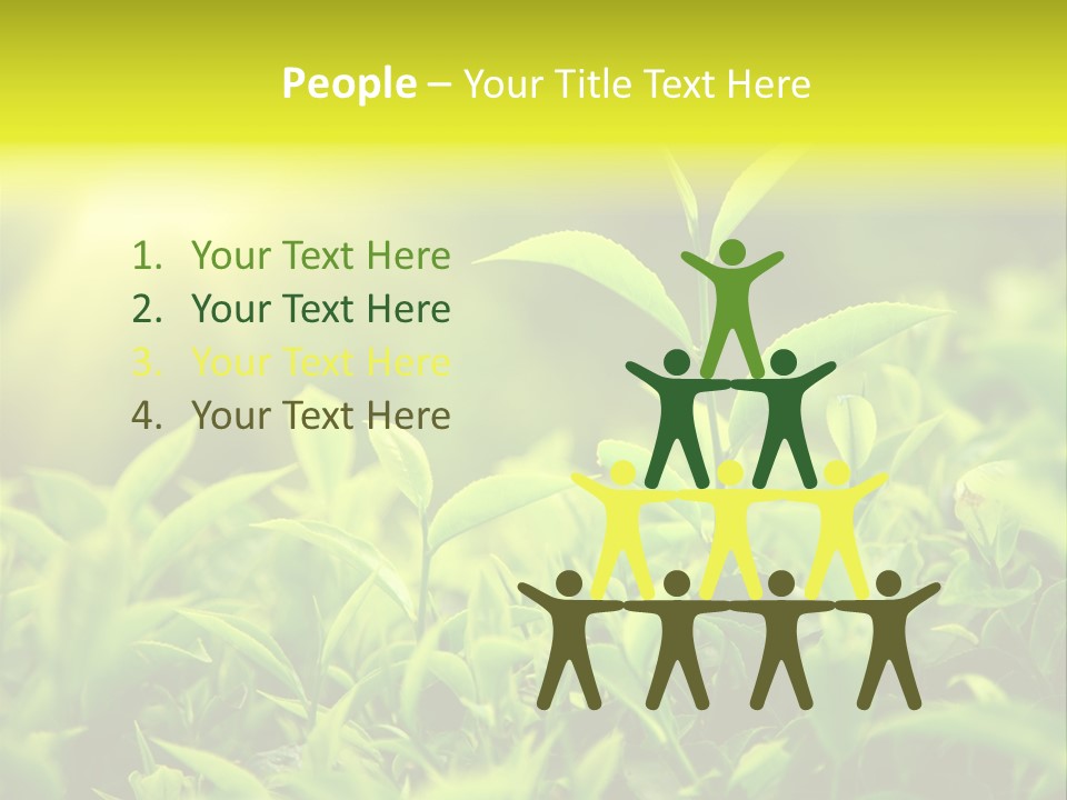 Kerala South Munnar PowerPoint Template