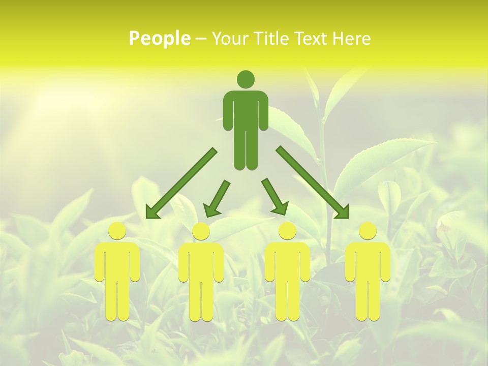 Kerala South Munnar PowerPoint Template