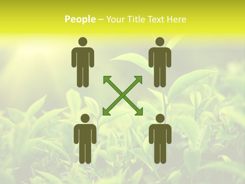 Kerala South Munnar PowerPoint Template