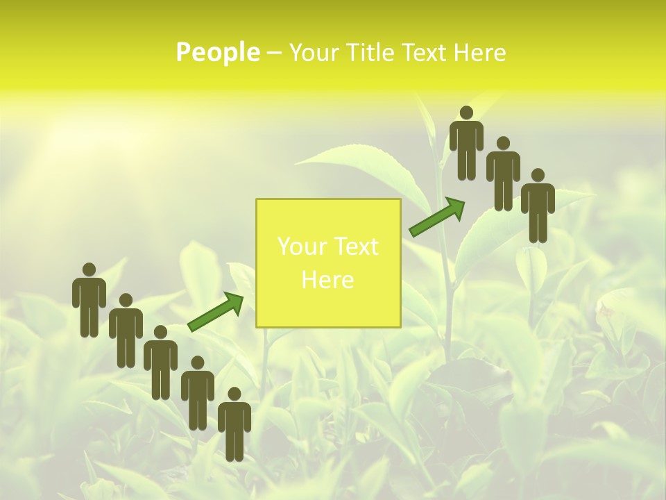 Kerala South Munnar PowerPoint Template