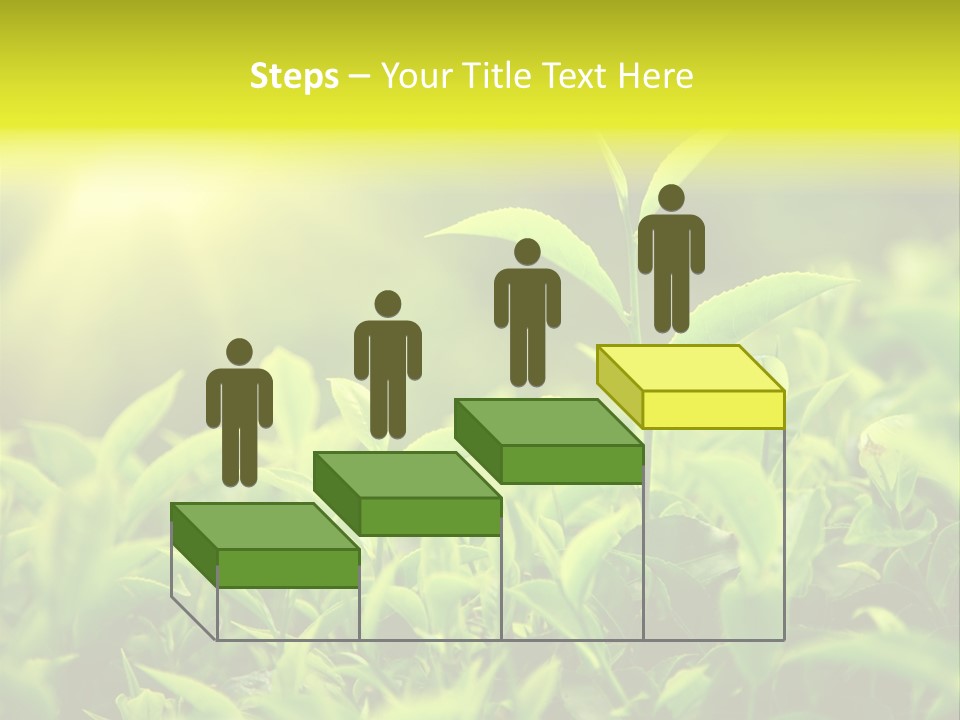 Kerala South Munnar PowerPoint Template