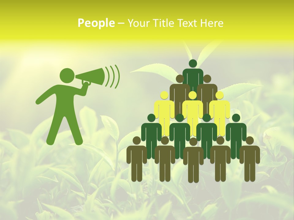 Kerala South Munnar PowerPoint Template