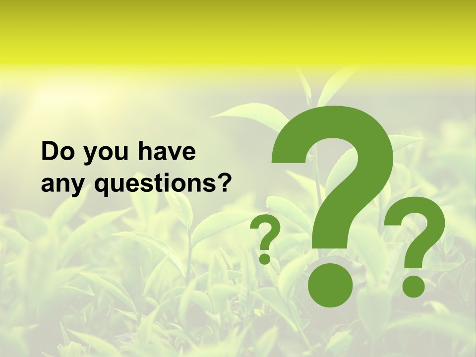 Kerala South Munnar PowerPoint Template