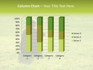 A Young Boy Sitting On The Grass In A Park PowerPoint Template