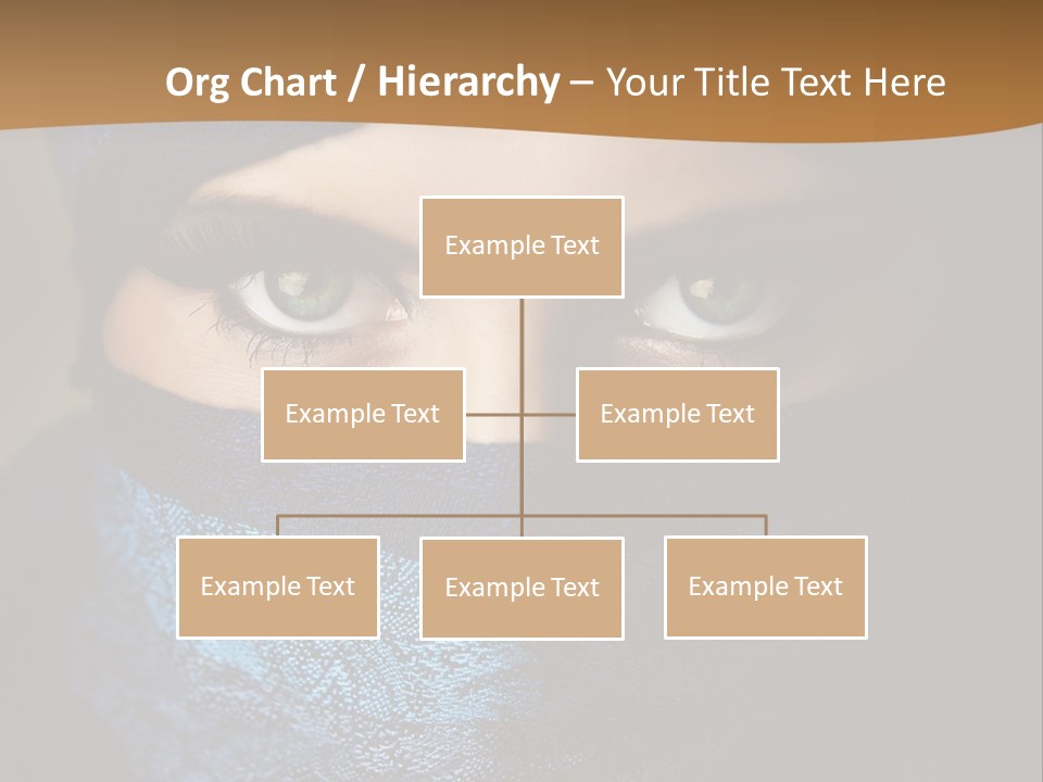A Woman Wearing A Blue Veil With A Brown Background PowerPoint Template