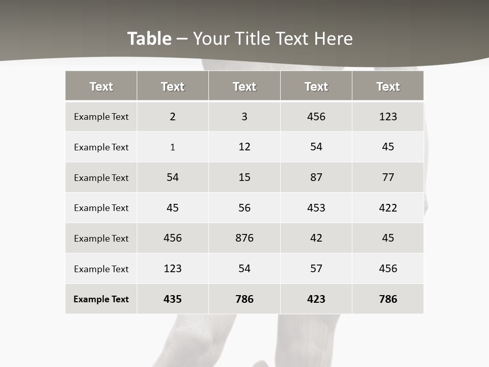 Studio Holiday Wedding PowerPoint Template