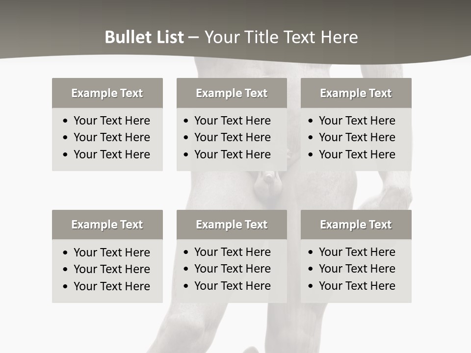 Studio Holiday Wedding PowerPoint Template