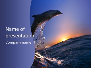 Boat Action Porpoise PowerPoint Template