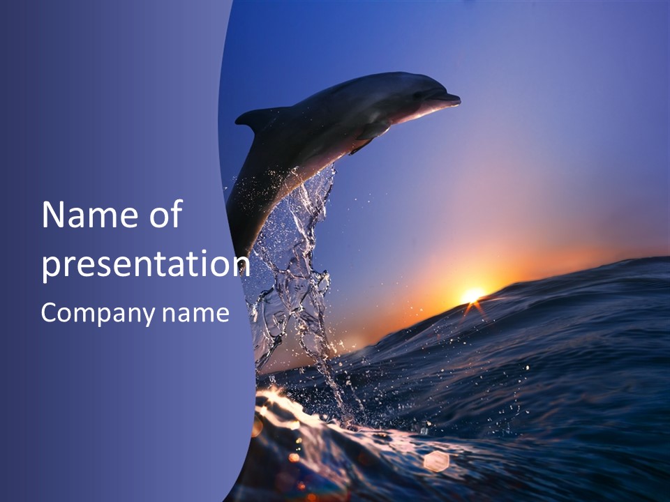 Boat Action Porpoise PowerPoint Template