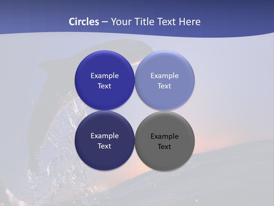 Boat Action Porpoise PowerPoint Template