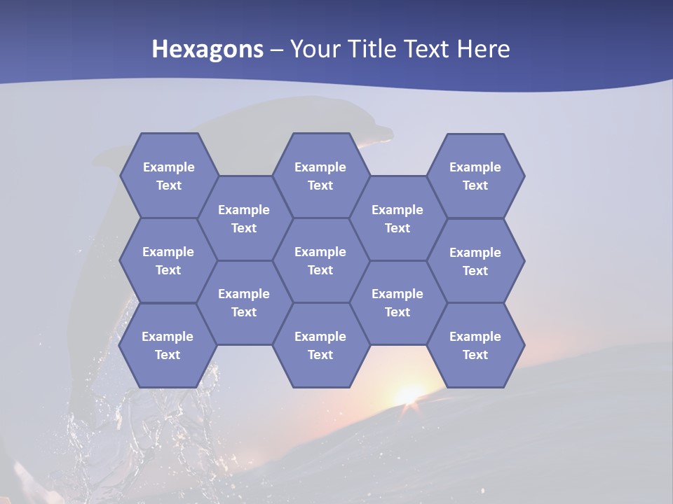 Boat Action Porpoise PowerPoint Template