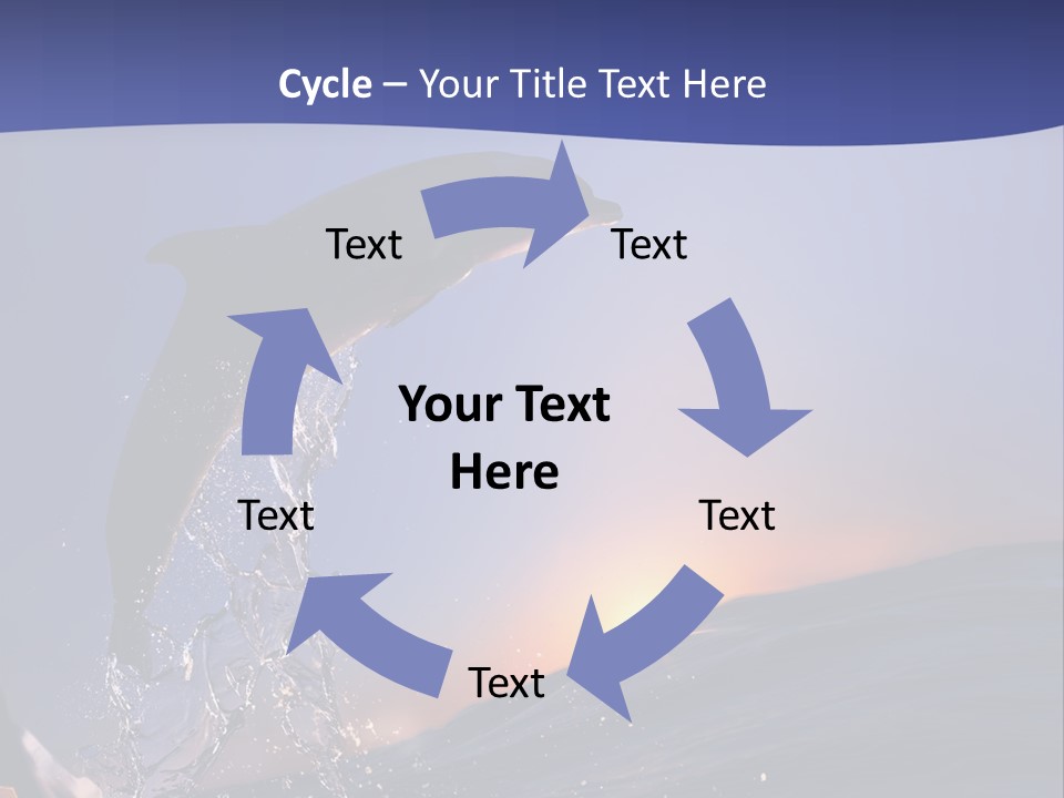 Boat Action Porpoise PowerPoint Template