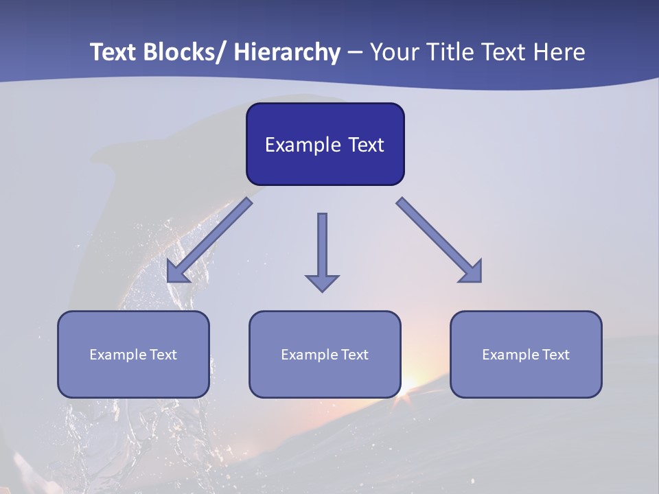 Boat Action Porpoise PowerPoint Template