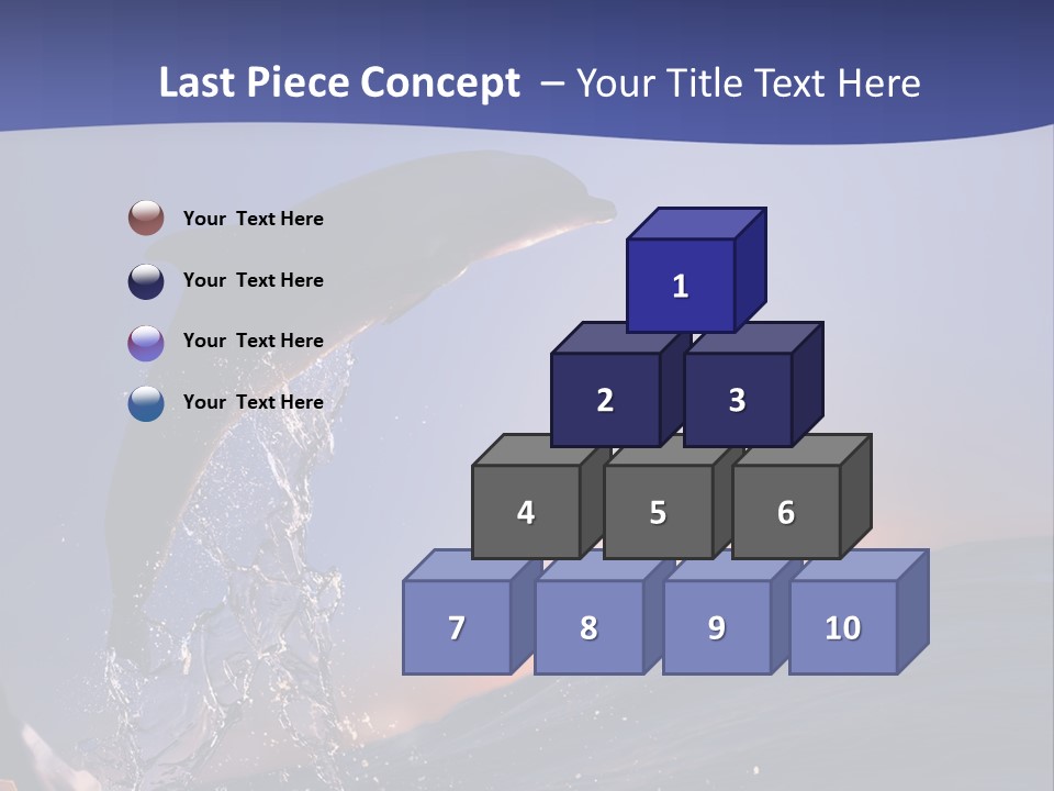 Boat Action Porpoise PowerPoint Template