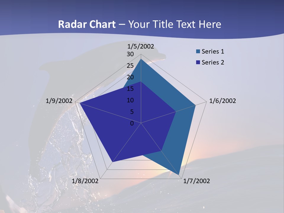 Boat Action Porpoise PowerPoint Template