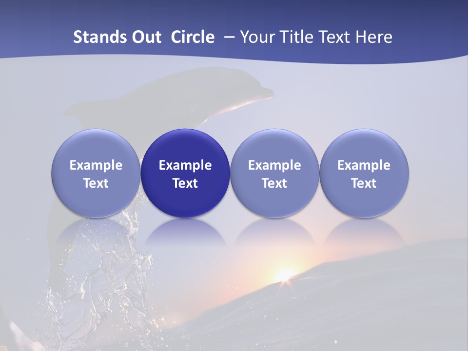 Boat Action Porpoise PowerPoint Template