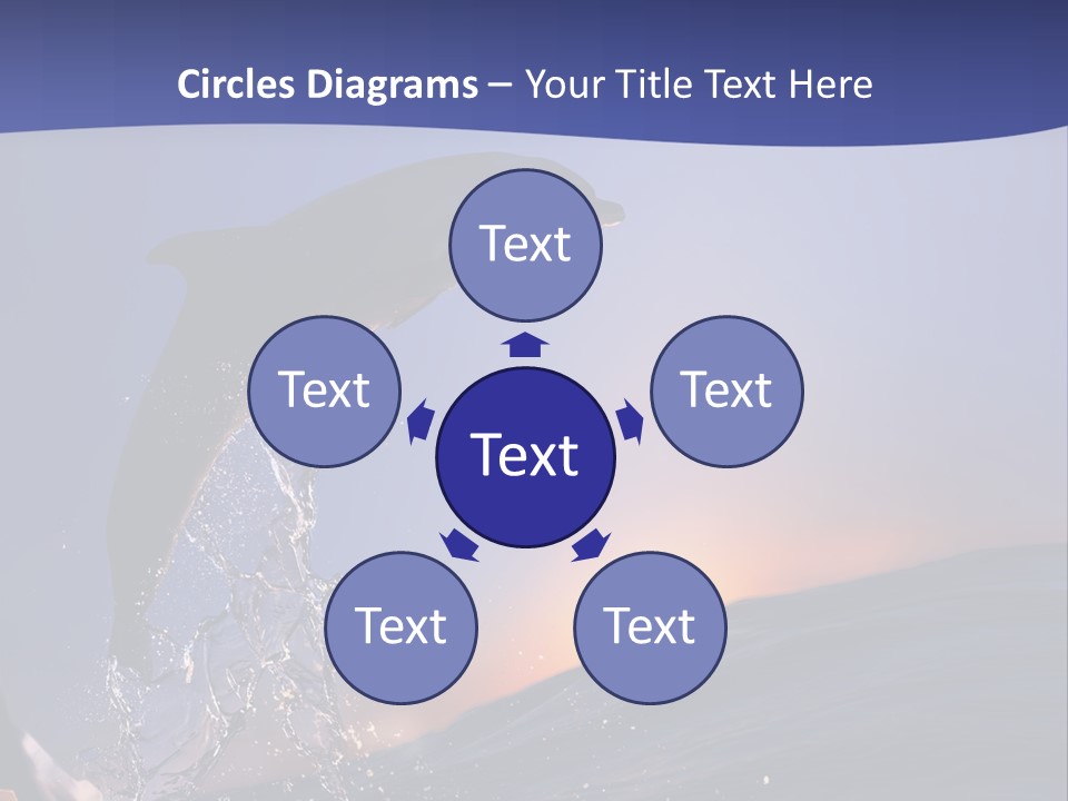 Boat Action Porpoise PowerPoint Template