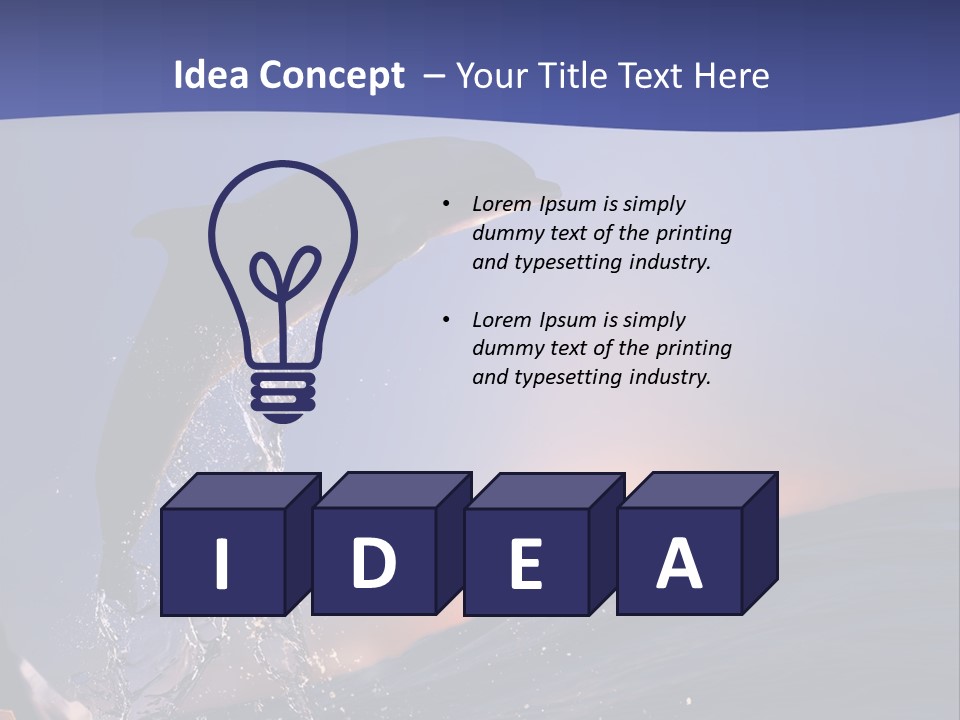 Boat Action Porpoise PowerPoint Template