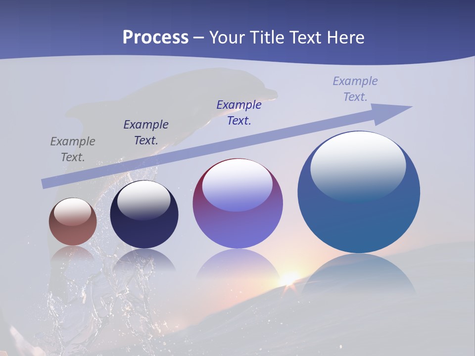 Boat Action Porpoise PowerPoint Template