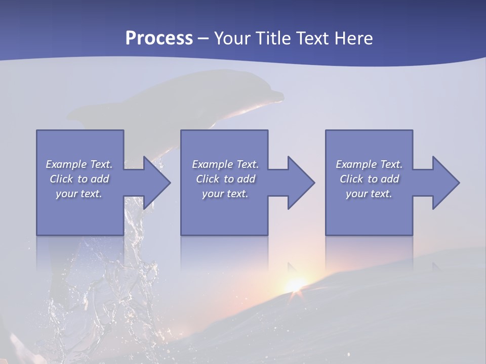 Boat Action Porpoise PowerPoint Template