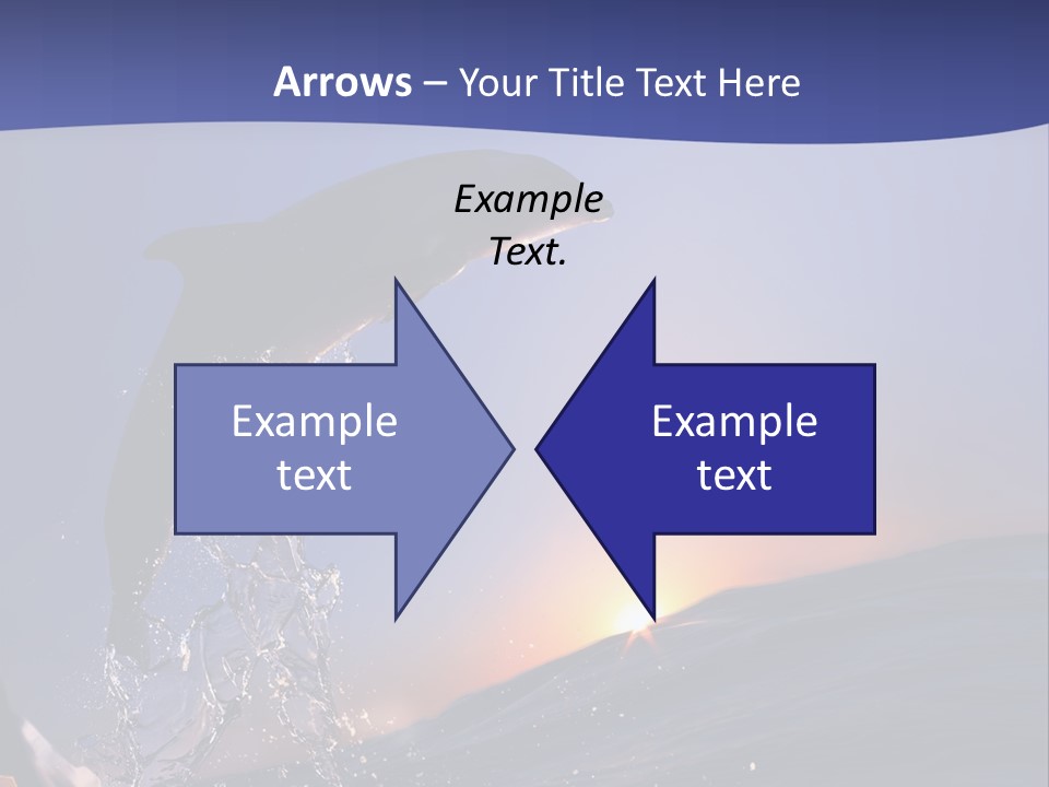 Boat Action Porpoise PowerPoint Template