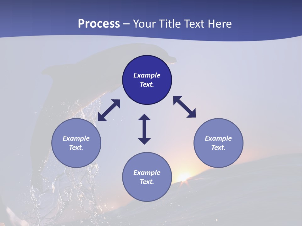 Boat Action Porpoise PowerPoint Template