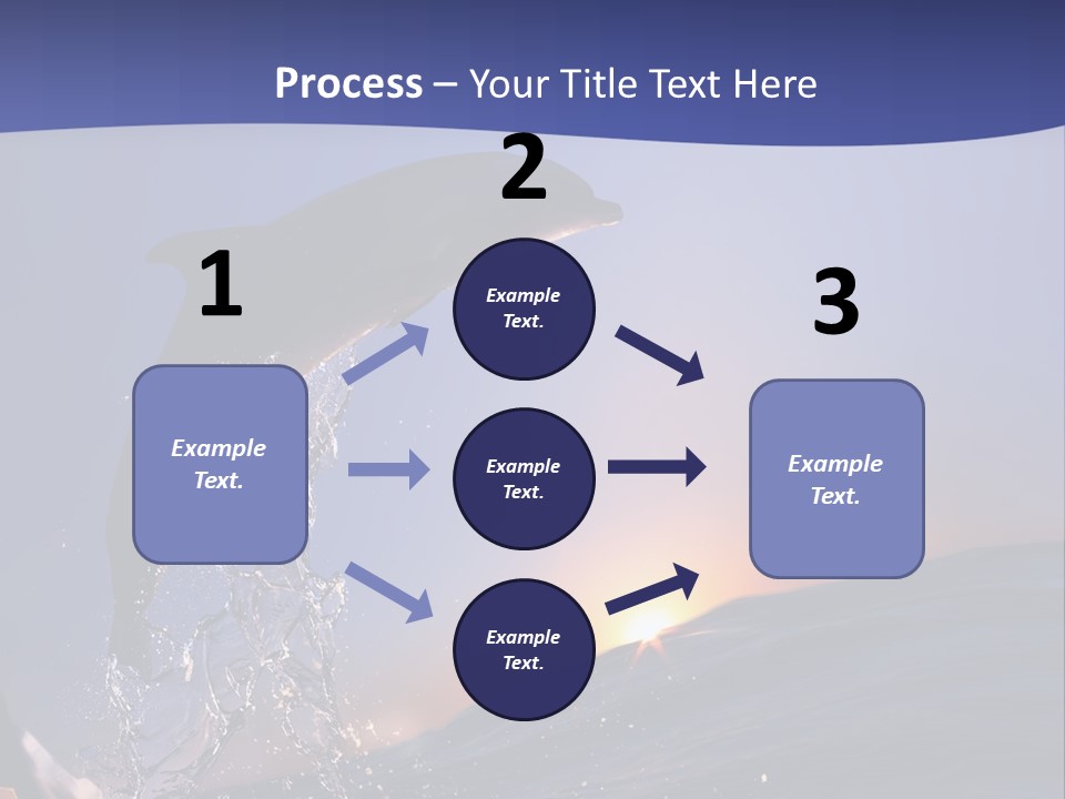 Boat Action Porpoise PowerPoint Template