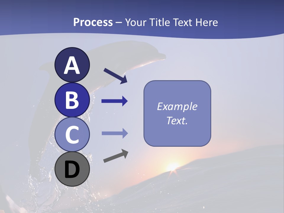 Boat Action Porpoise PowerPoint Template