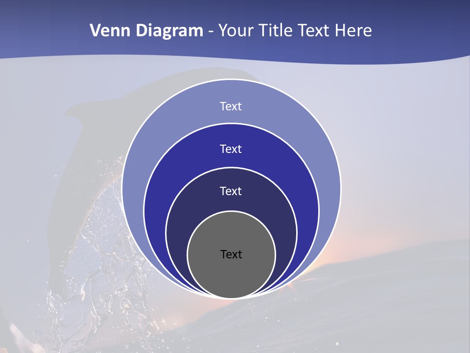 Boat Action Porpoise PowerPoint Template