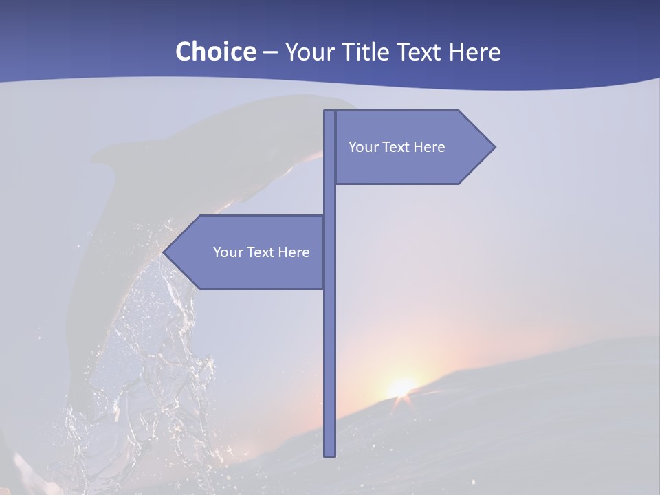 Boat Action Porpoise PowerPoint Template