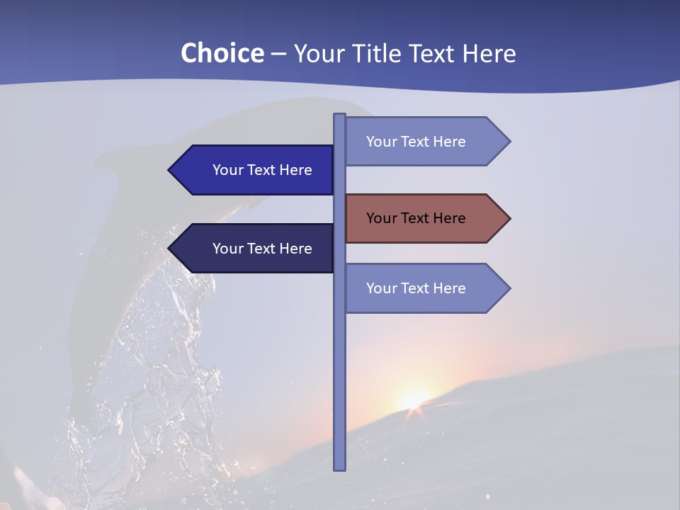 Boat Action Porpoise PowerPoint Template