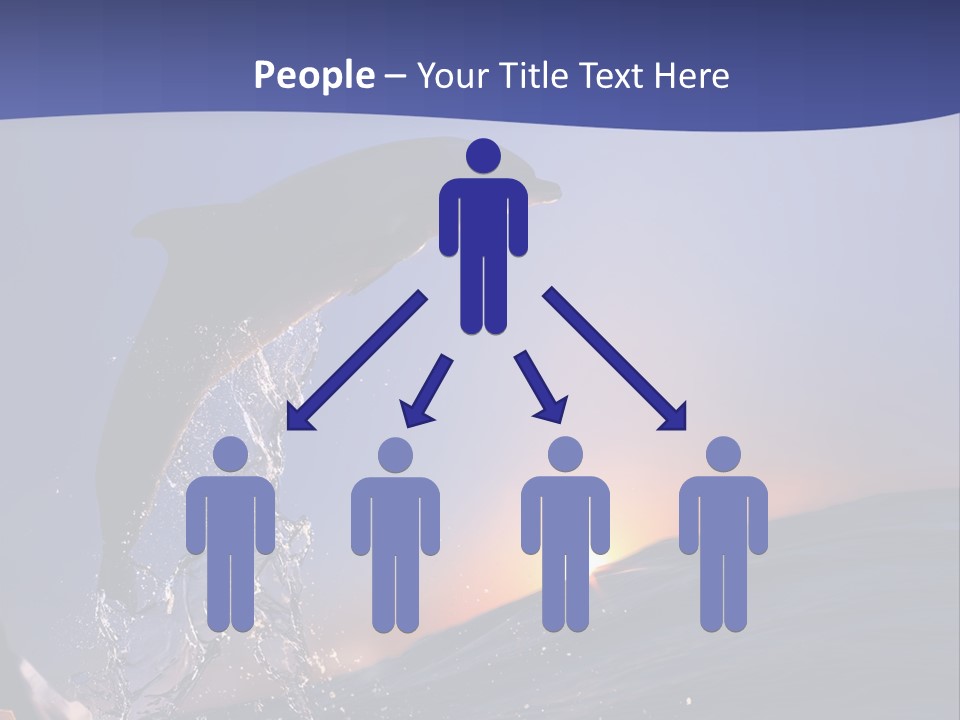 Boat Action Porpoise PowerPoint Template