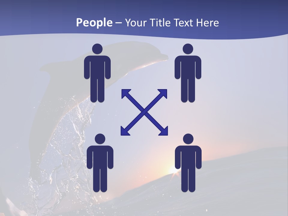 Boat Action Porpoise PowerPoint Template