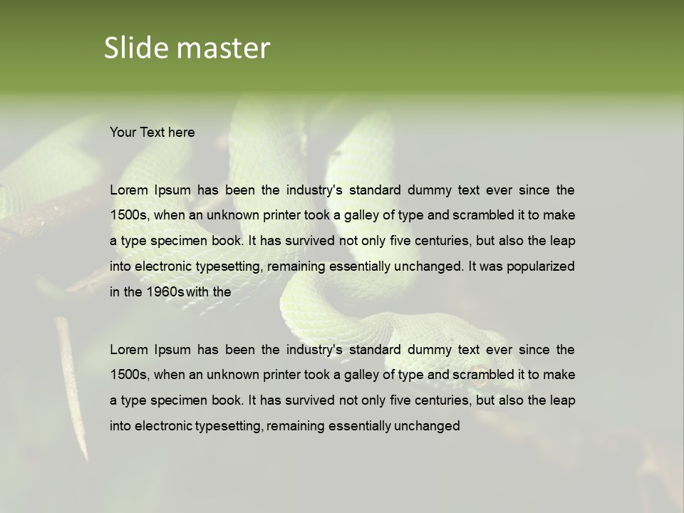 Garden Wild Snake PowerPoint Template