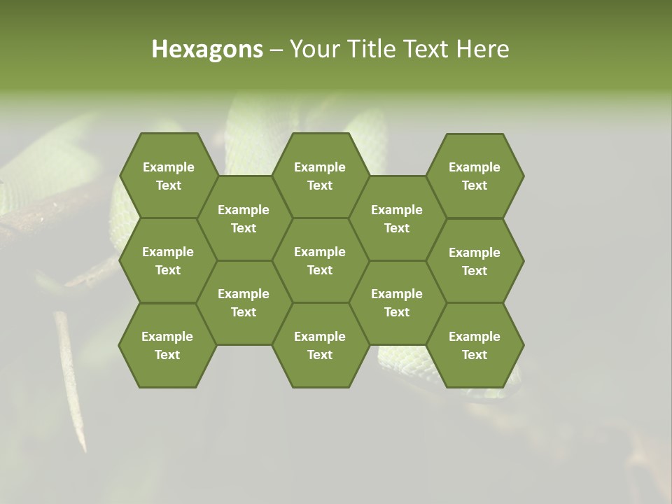 Garden Wild Snake PowerPoint Template