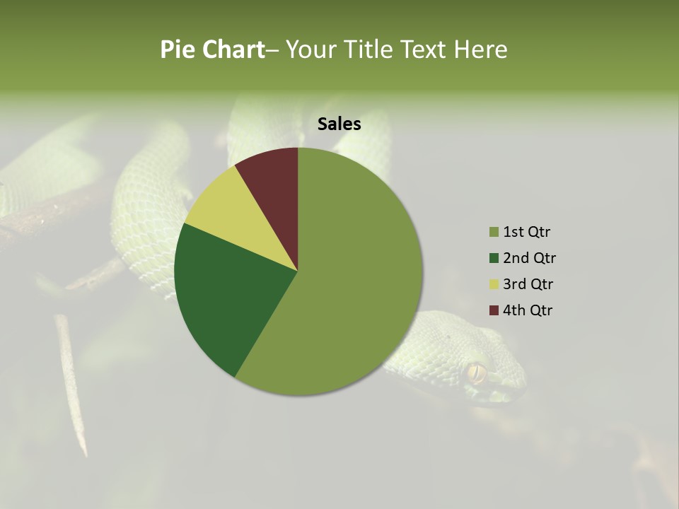 Garden Wild Snake PowerPoint Template
