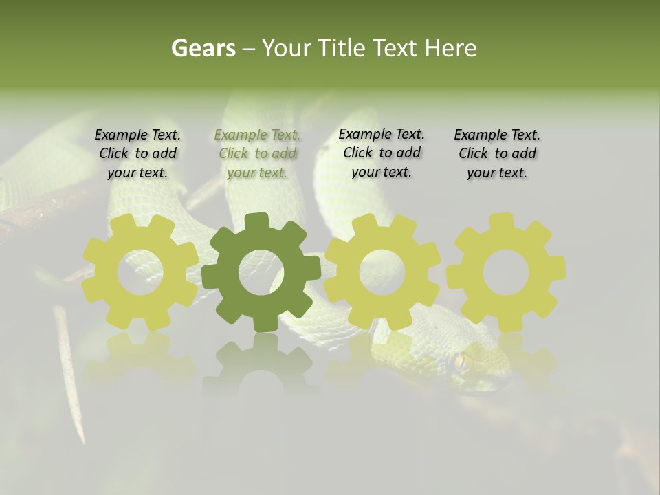 Garden Wild Snake PowerPoint Template